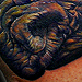 Tattoos - rhinoceros - 37015